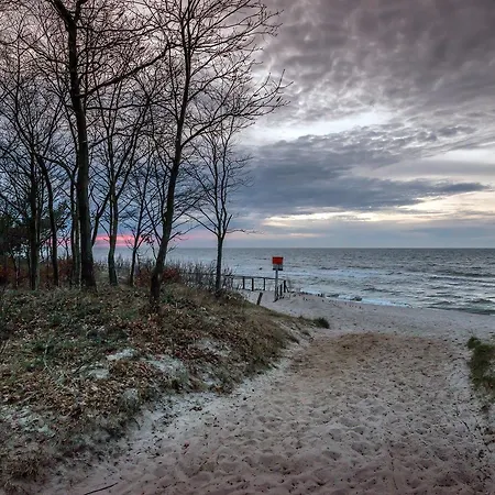 Проживание в семье 